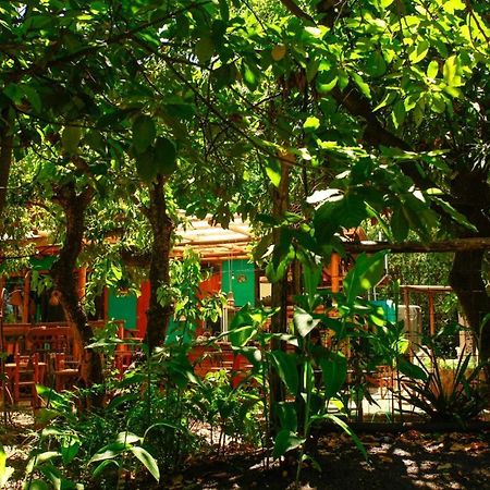 Croa La Rana Hotel Yacanto Exterior photo